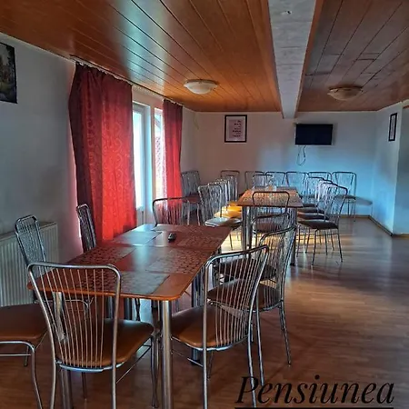 Pensiunea Paradis Guest house Busteni