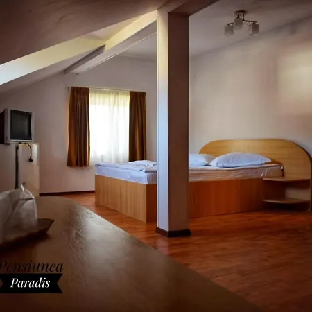 Pensiunea Paradis 3*